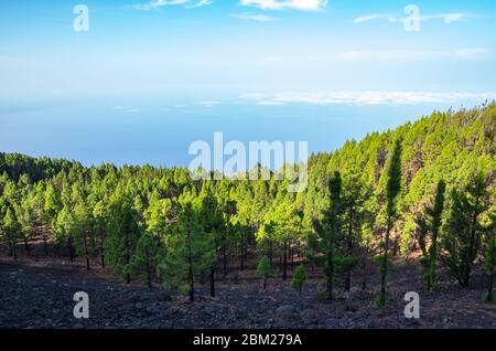 Panoramablick von den Gipfeln der Ruta de los Volcanes in La Palma, Kanarische Inseln Stockfoto