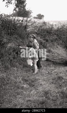 1960er Jahre, historisch, draußen auf dem Land, auf einer Hecke, zwei kleine Kinder Brombeeren pflücken, England, Großbritannien, eine traditionelle und lustige Sommeraktivität für Jugendliche jeden Alters. Stockfoto