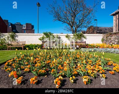 North Berwick, East Lothian, Schottland, Vereinigtes Königreich. Mai 2020. Am wärmsten sonnigsten Tag des Jahres ist die normalerweise beliebte Küstenstadt fast menschenleer. Die atemberaubende Blumenpracht im Kriegs-Gedenkgarten mit leeren Bänken hat niemanden, der sie während der Aussperrung des Coronavirus Covid-19 bewundern kann Stockfoto