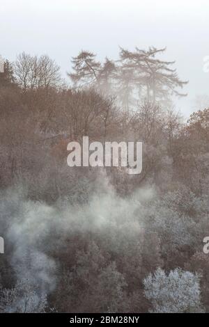 Im Winter rollt morgens Nebel über die englische Landschaft. Clent, Worcestershire, England, Großbritannien Stockfoto