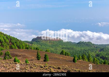 Panoramablick von den Gipfeln der Ruta de los Volcanes in La Palma, Kanarische Inseln Stockfoto