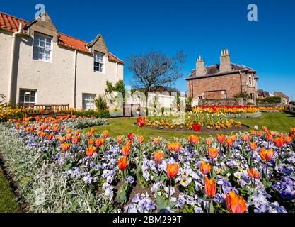 North Berwick, East Lothian, Schottland, Vereinigtes Königreich. Mai 2020. Am wärmsten sonnigsten Tag des Jahres ist die normalerweise beliebte Küstenstadt fast menschenleer. Die atemberaubende Blumenpracht im Kriegs-Gedenkgarten mit leeren Bänken hat niemanden, der sie während der Aussperrung des Coronavirus Covid-19 bewundern kann Stockfoto