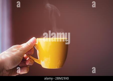 Gelbe Tasse mit heißem Teegetränk in der Hand mit dunkelrosa Hintergrund in wunderschönem Morgenlicht Stockfoto