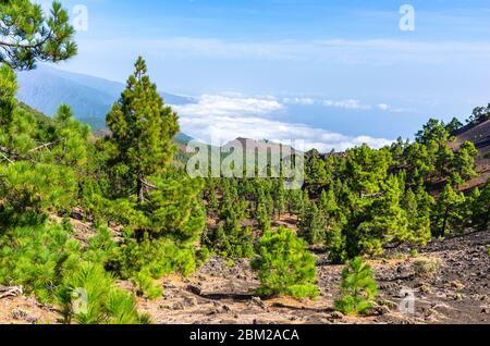 Panoramablick von den Gipfeln der Ruta de los Volcanes in La Palma, Kanarische Inseln Stockfoto