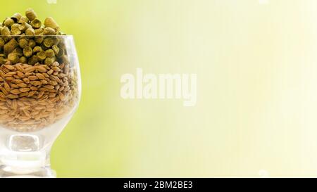 Malz und Hopfen in einem Glas mit negativem Raum Stockfoto