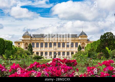 Panorama der Großen Galerie der Evolution im Nationalmuseum von Naturgeschichte Stockfoto