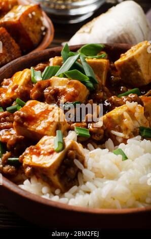 Authentische traditionelle chinesische Küche Mapo Tofu Gericht mit Schweinefleisch Schnittlauch und gedünstetem Reis Nahaufnahme Stockfoto