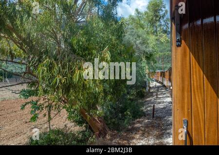 Schöne Reise mit Tren Soller in Palma de Mallorca, Spania Stockfoto