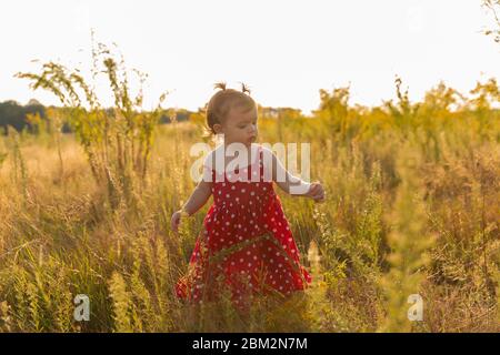 Kleines Mädchen spielt in der Natur. Babymädchen haben Spaß auf der Wiese und laufen barfuß auf dem grünen Gras. Lustige und unbeschwerte Kindheit. Stockfoto