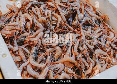 Frische Garnelen in einer Schachtel auf dem Markt Stockfoto