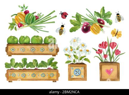 Aquarell-Gartengardenset mit Pflanzen, Gemüse, Blumen und Insekten. Helle handbemalte Illustration von Gartenpflanzen Sämlinge, Kohlpflanzen, Rote Bete. Stockfoto