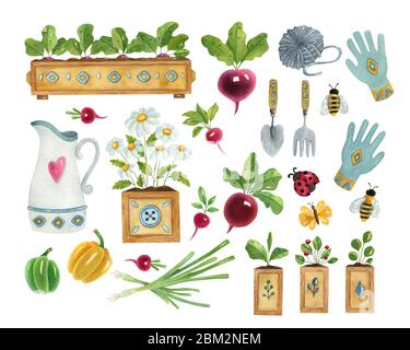 Aquarell Gartengardening Set. Helle handbemalte Illustration mit Werkzeugen, Gemüse, Insekten und Blumen. Stockfoto