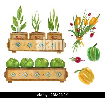 Aquarell Garten-Set mit Pflanzen. Helle handbemalte Illustration von Gartenpflanzen Sämlinge, Kohlpflanzen, Pflanzen, Bouquet und Paprika. Stockfoto