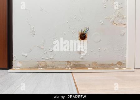 Pilz an der Wand in einer frisch renovierten Wohnung. Schlechte Abdichtung. Problem bei Regen, es ist Feuchtigkeit an der Wand. Stockfoto