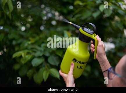 Mädchen sprüht Pflanzen im Garten Stockfoto