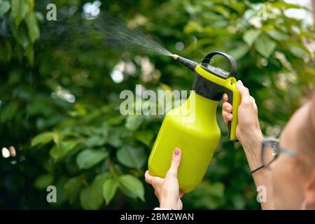 Mädchen sprüht Pflanzen im Garten Stockfoto