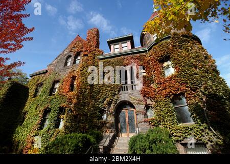 Schönes altes Haus mit Weinreben und boston Efeu in Toronto, Kanada bedeckt Stockfoto
