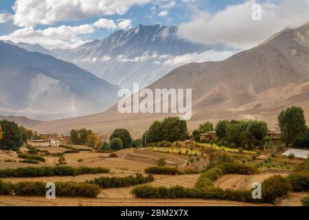 Reisterrassen im Herbst nach der Ernte. Berglandwirtschaft, Lower Mustang, Nepal Stockfoto