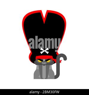 Katze Piraten in Hut isoliert. Tierbukkaneer. Mürrische Katze Filibuster. vektor-Illustration Stock Vektor