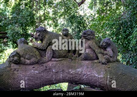 Sacred Monkey Forest Sanctuary Temple, dieser Ort ist am beliebtesten in der Provinz Ubud, Bali Island Stockfoto
