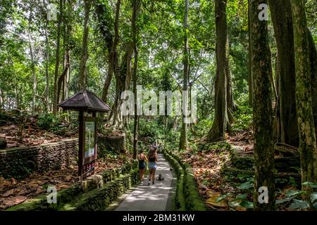 Sacred Monkey Forest Sanctuary Temple, dieser Ort ist am beliebtesten in der Provinz Ubud, Bali Island Stockfoto