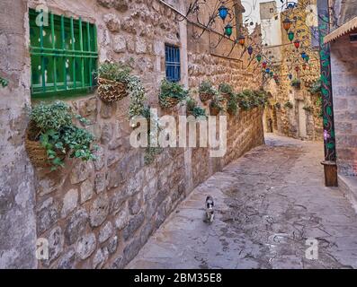 Enge Gassen von Mardin und alte traditionelle Steinhäuser. Aufgenommen in der Region Artukluu in Mardin, Türkei. Stockfoto