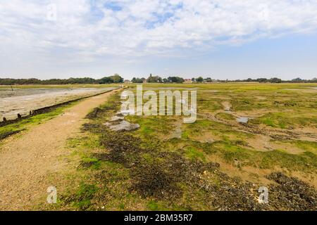 Schmuggler Lane und Fähre harte Gezeitengebiete Salzwiese bei Ebbe, Bosham, ein kleines Dorf in Chichester Harbour, West Sussex, Südküste Englands Stockfoto