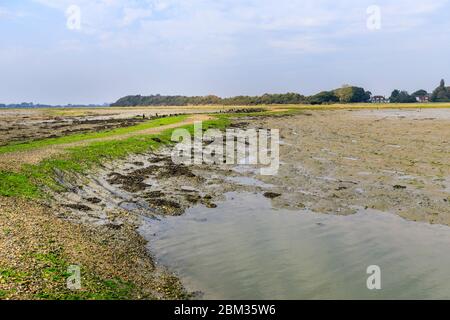 Schmuggler Lane und Fähre harte Gezeitengebiete Salzwiese bei Ebbe, Bosham, ein kleines Dorf in Chichester Harbour, West Sussex, Südküste Englands Stockfoto