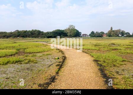 Schmuggler Lane und Fähre harte Gezeitengebiete Salzwiese bei Ebbe, Bosham, ein kleines Dorf in Chichester Harbour, West Sussex, Südküste Englands Stockfoto