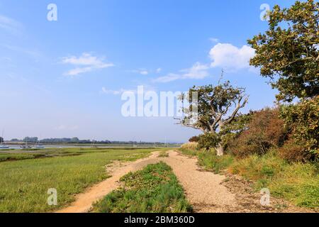 Fußweg an der Smugglers Lane und Fähre harte Gezeitengebiete im Salzmarsch bei Ebbe, Bosham, Chichester Harbour, West Sussex, Südküste Englands Stockfoto