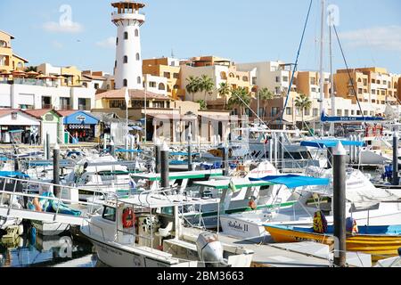 Ein farbenfroher Hafen mit Booten, die in Cabo San Lucas, Mexiko angedockt sind Stockfoto