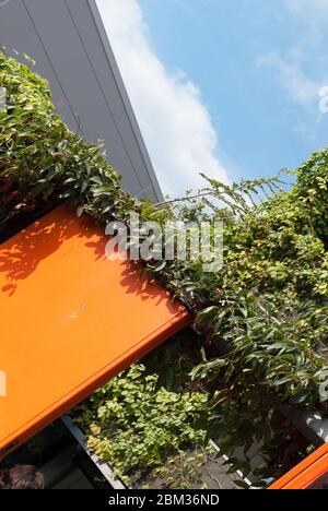 1B Modern Contemporary House Orange Blue Doors Balkon Liverpool Street Hackney Shoreditch East London City Stockfoto