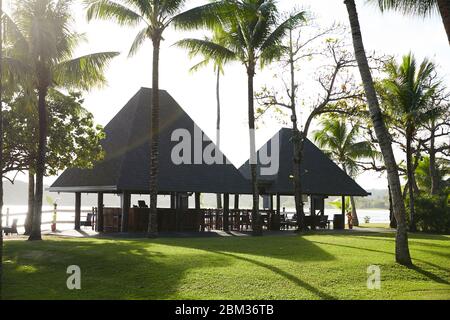 Palmen schwingen im Wind in einem Resort auf der tropischen Insel Fidschi Stockfoto