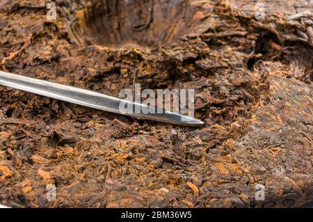 Chinesisch drückte PU-ERH Tee auf Wickelpapier und Teemesser, Nahaufnahme Stockfoto