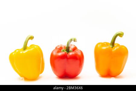 Vielfalt von verschiedenen farbigen Paprika isoliert auf weiß Stockfoto
