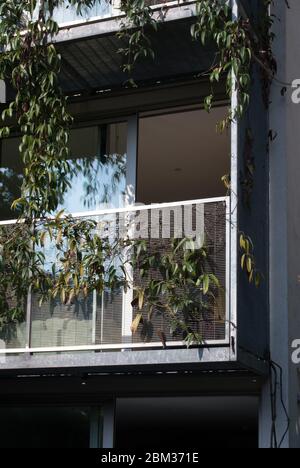 1B Modern Contemporary House Orange Blue Doors Balkon Liverpool Street Hackney Shoreditch East London City Stockfoto