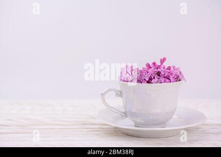 Schöne Frühling Flieder Blumen in Tasse Stockfoto