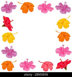Schöne Sommerzeit exotischen Rahmen mit Hand gezeichnet bunten Hibiskus Vektor Illustration Sommer Hintergrund Stock Vektor