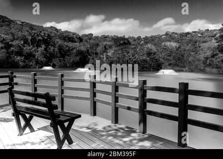 Eine leere Bank mit Blick auf einen See und einen Wald, in schwarz-weiß Stockfoto