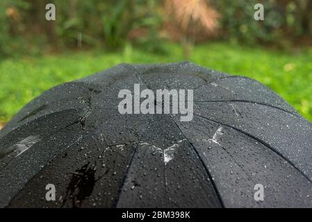 Ein nasser schwarzer Regenschirm im Regen Stockfoto