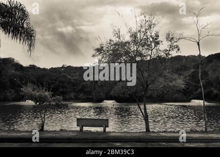 Eine leere Bank mit Blick auf einen See an einem regnerischen Tag. Dieses Bild kann als Hintergrundbild verwendet werden. Stockfoto