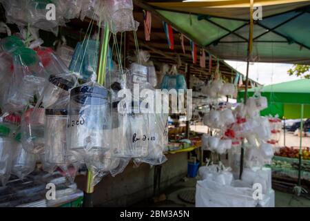 Tuaran, Malaysia, 6. Mai 2020 - Asiatischer Stand in Tuaran Stadt, der Plastiktupperware und andere Haushaltsgegenstände verkauft Stockfoto