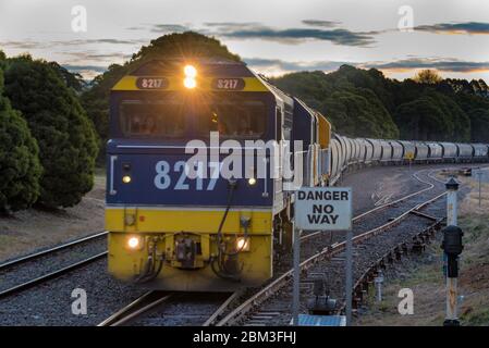 Eine Diesellokomotive, die am frühen Abend Kohlekraftwagen oder Waggons durch die Southern Highlands von New South Wales in Australien für den Export zieht Stockfoto