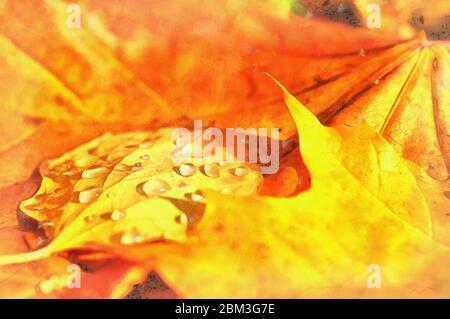 Gelbe Blätter im Herbst Wald bunte Malerei sieht aus wie Bild Stockfoto