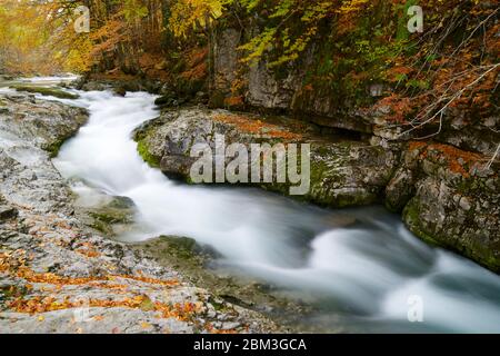 Arazas Fluss im Nationalpark Ordesa Tal, Pyrenäen in Spanien. Stockfoto