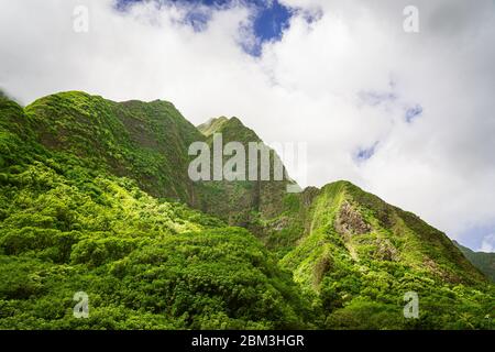 Grüner Berg im Maui Nationalpark Stockfoto