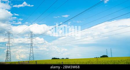 Stromleitungen über einer Rapsfarm in Aberta Canada Stockfoto