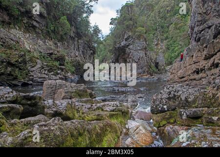 Rock Island Bend am Franklin River Stockfoto