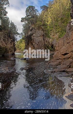 Rock Island Bend am Franklin River Stockfoto