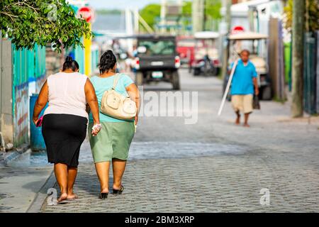 Zwei Damen in Übergröße, die im Sommer von hinten auf der Straße spazieren Stockfoto